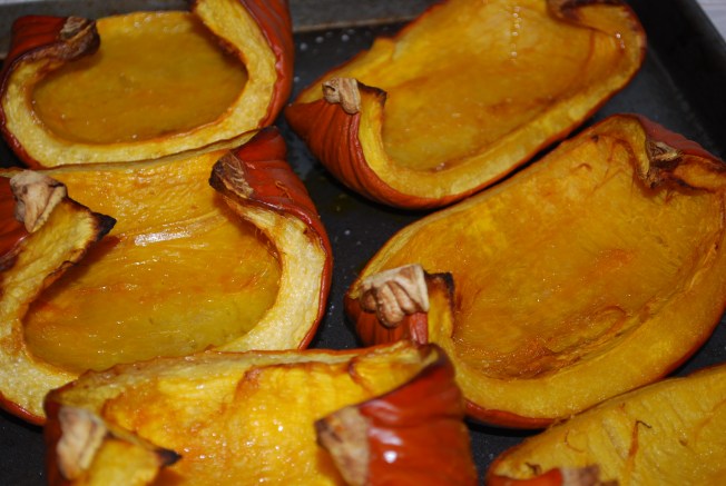 pumpkin pie pumpkins