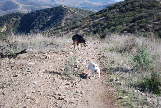 char and linus hike