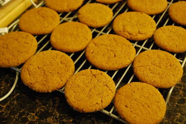 molasses cookies 1