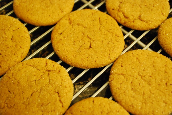 molasses cookies 2