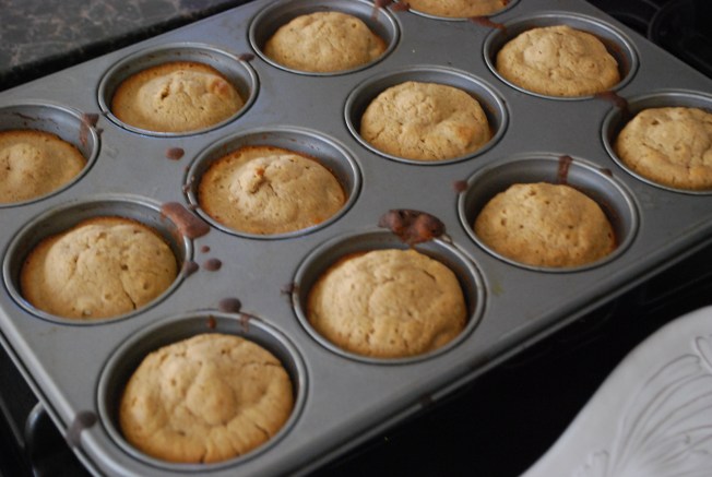 muffins