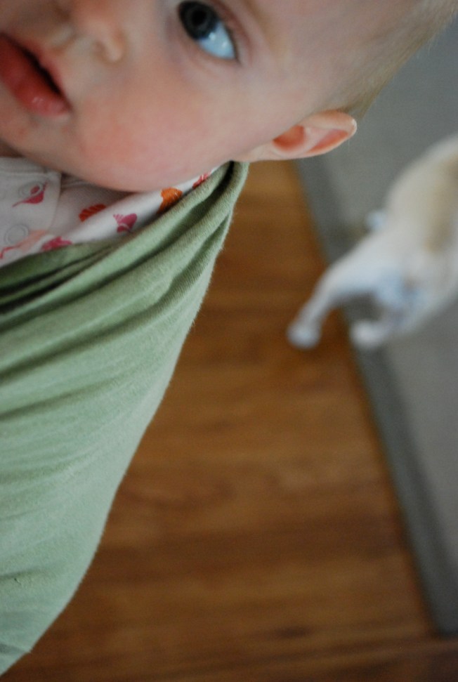 ring sling 1