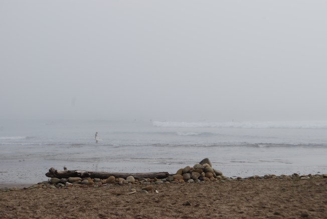 foggy surfer