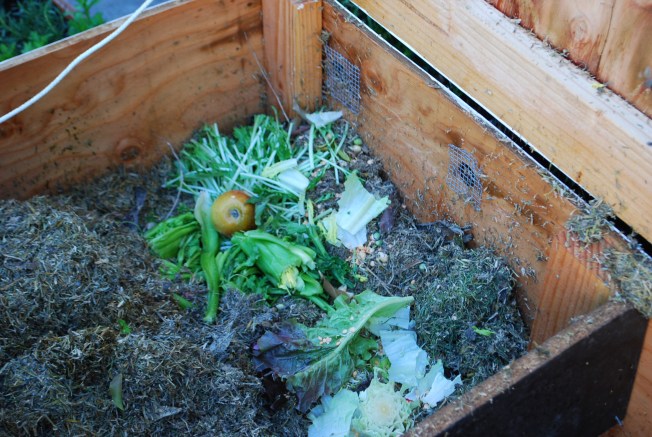compost