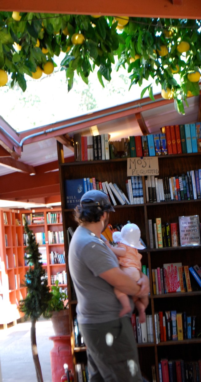 lookin for beer books