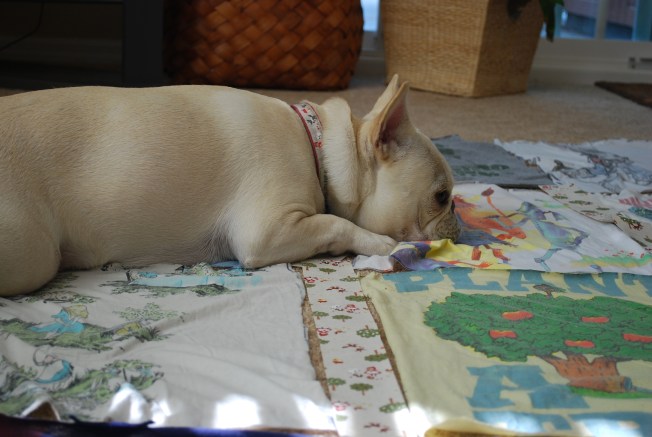 char likes the baby quilt