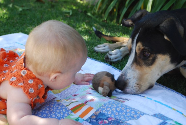 linus brings ellie the ball