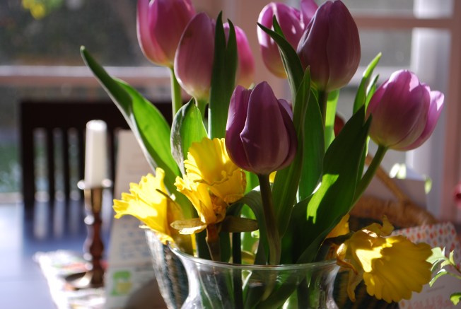 easter tulips