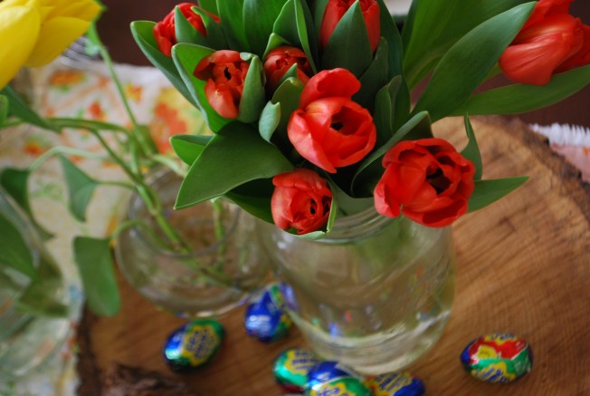 candy and tulips