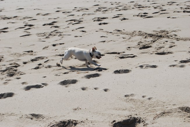char loves the beach