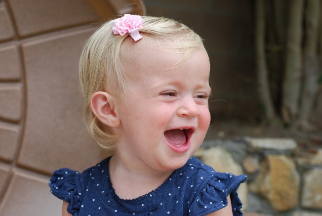 laughing at the dogs