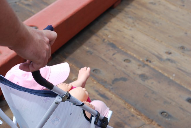 going to see the fish