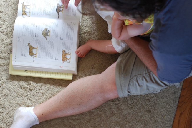 encyclopedia of animals