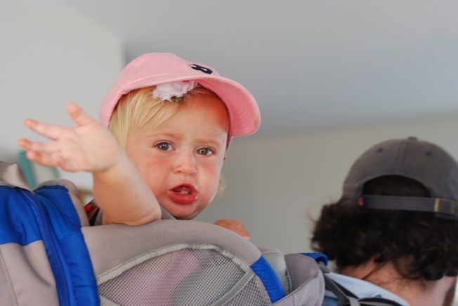 walks in the carrier