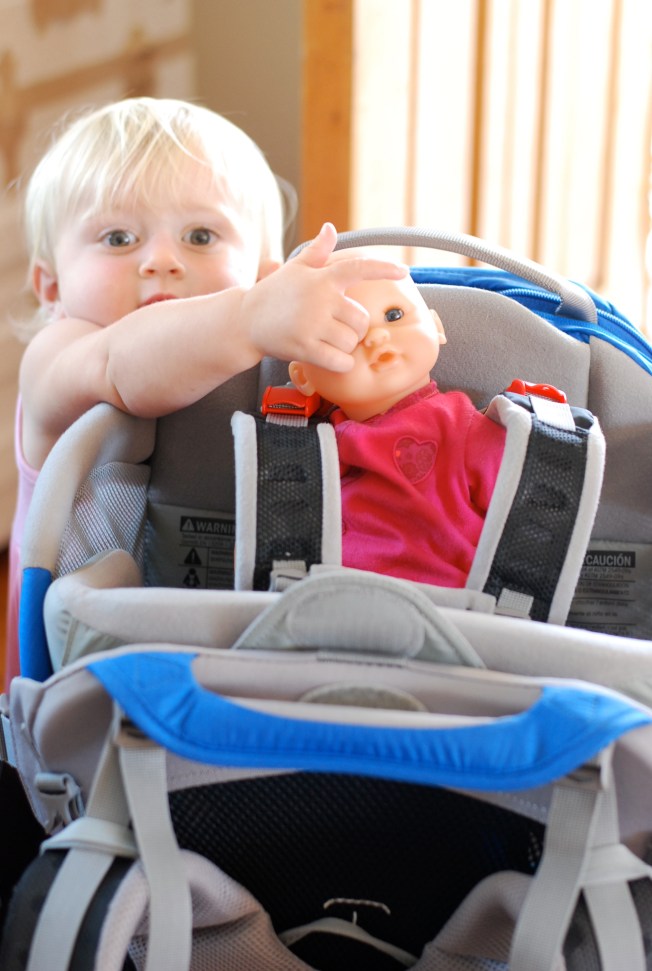pink baby in the carrier