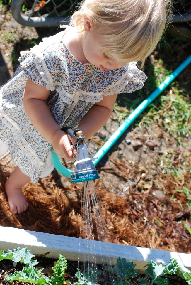 watering the garden