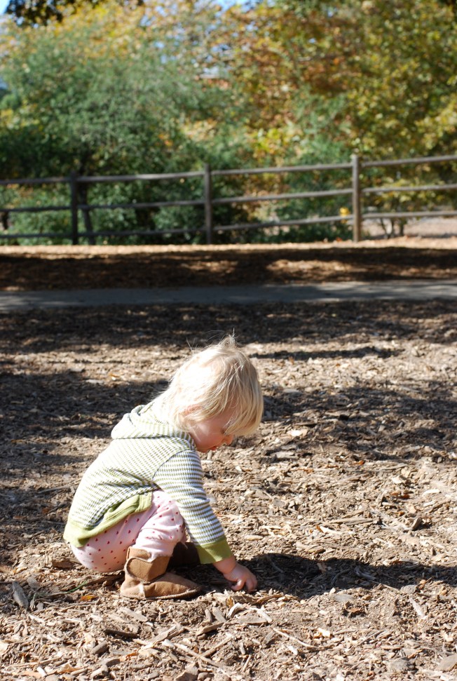 playing in the dirt