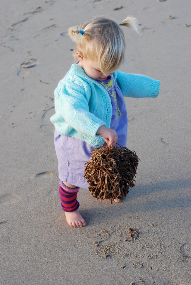 a bunch of sea something