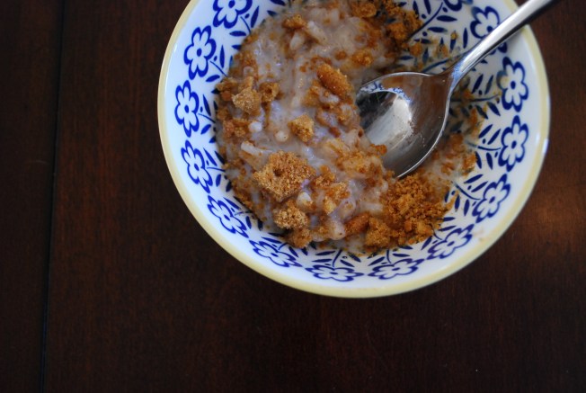 close up rice pudding