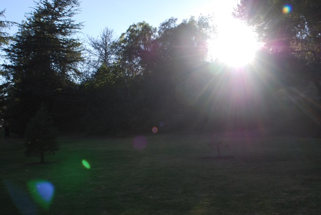 light shines through