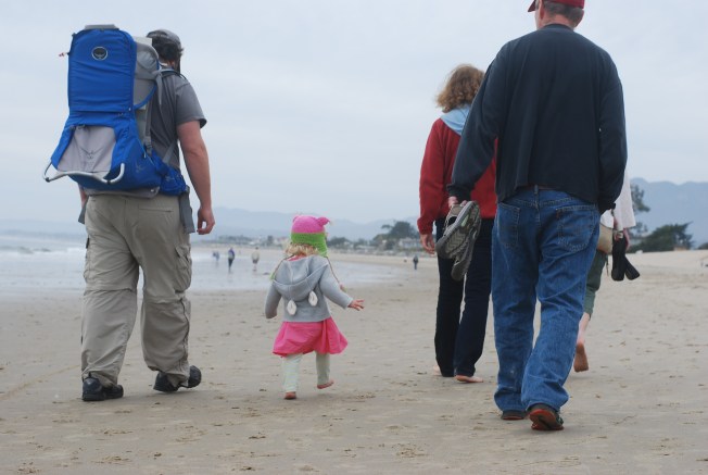 here we go to find ducks