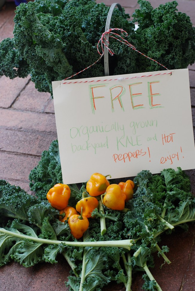 free kale