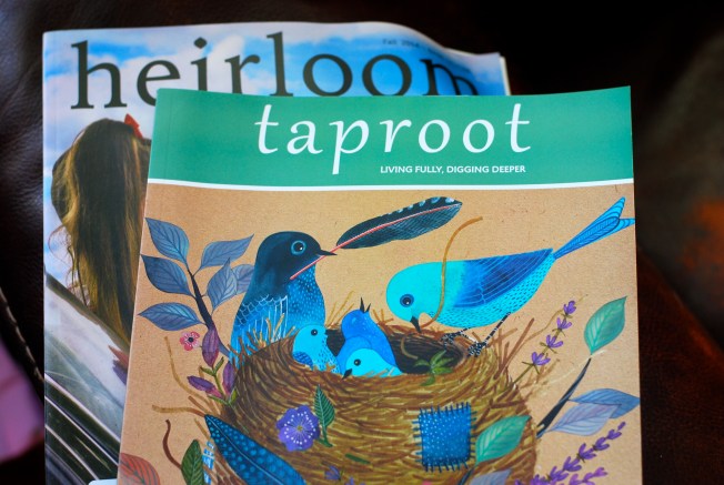 taproot